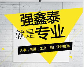 廣東東莞箱包手袋皮具行業驗廠軟件 專人實施與售后保障的專業解決方案
